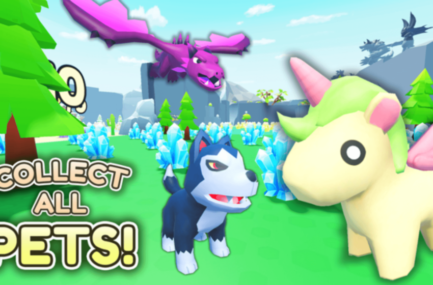 collect all pets codes