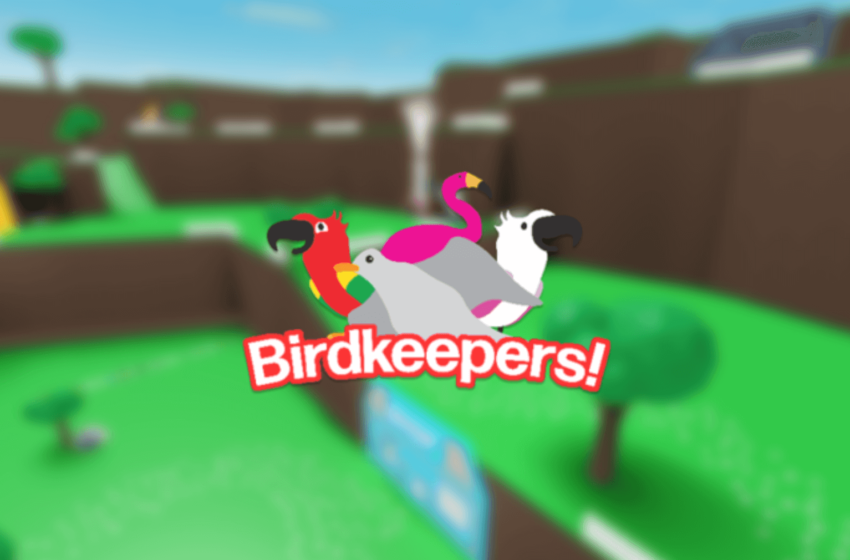 birdkeepers codes